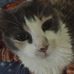 Donna Stachowiak - Facebook