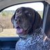 Donna Stackhouse - Facebook