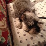 Donna Stackhouse - @dostackhouse - Instagram