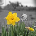Donna Stagg - @donna.stagg - Instagram