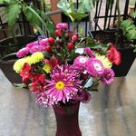 Donna Staggs - @donna.staggs1 - Instagram