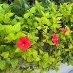 Donna Staggs - @donna.staggs1 - Instagram
