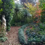 Donna Staggs - @theheritagegardeners - Instagram
