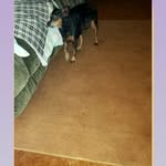 Donna Staggs - @ds837462 - Instagram