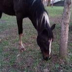 Donna Stake - Facebook