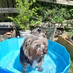 Donna Stallard - Facebook