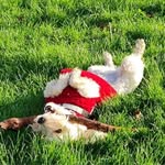 Donna Stallard-Taylor - @donstall1 - Instagram