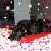 Donna Stamper - Facebook