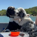 Donna Stanton - @donna.stanton.79 - Instagram