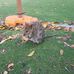 Donna Stanczak - Facebook