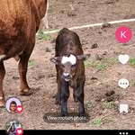 Kay Albritton Standard - @donnakaystandard - Instagram