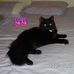 Donna Stanek - Facebook