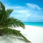 Donna Stanford - @donna.stanford.1217 - Instagram
