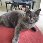 Donna Stanton - Facebook