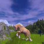 Donna Star Stable - @donna_ponylund - Instagram