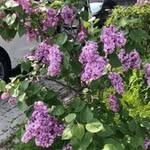 Donna Starkey - @donna.starkey.543908 - Instagram
