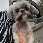 Donna Starkey - @donna.starkey.5 - Instagram