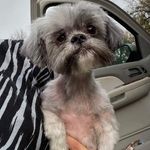 Donna Starkey - @donna.starkey.5 - Instagram