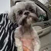 donnastarkey7 - @donnastarkey7 - TikTok