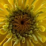 Donna @ SSB - @donna_lynn_starling - Instagram