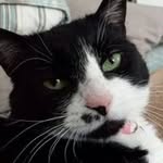 Donna Starling - @donna44215 - Instagram