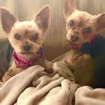 Donna Severt Starnes - @donnasstarnes - Instagram