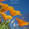 Donna Starnes287 - @donnabrewster2 - TikTok