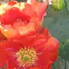 Donna Starnes456 - @donnastarnes456 - TikTok
