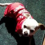 Donna Starnes - Facebook