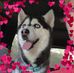 Donna Starrett - Facebook