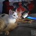 Donna Stauffer - Facebook
