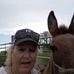 Donna Stigall - Facebook