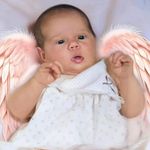 Donna Stearns - @stearns.donna - Instagram