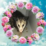 Donna Stearns - @donna.stearns.750 - Instagram