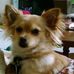Donna Steck - Facebook