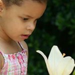 Donna Steele - @donna.steele.370 - Instagram