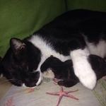 Donna Goodrum Steelman - @donnasteelman - Instagram