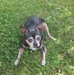 Donna Stepien - Facebook