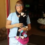 Donna Sterling - @sterlingdonna - Instagram