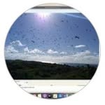 Donna Sterling - @sterlingdonn283 - Instagram