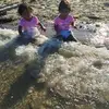Donna Wescott Stern - @donna.wescott.ste - TikTok