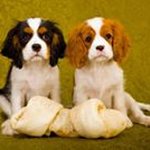 Donna Stiltner - @dstiltner - Instagram
