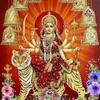 Haseeba_Banu - @donna.stiltnerr - TikTok