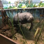 Donna Stine - @ourvalhallahoney1 - Instagram
