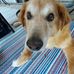 Donna St John - Facebook