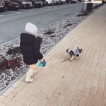 Donna Stjohn - @huguinzeilon - Instagram