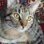 Donna Stoner - @donnajoystoner - Instagram