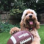 Donna Storey - @donna1237d - Instagram