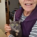 Donna R. Stratman - @donstrat - Instagram