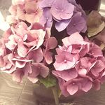 Donna Straw - @donna_straw - Instagram